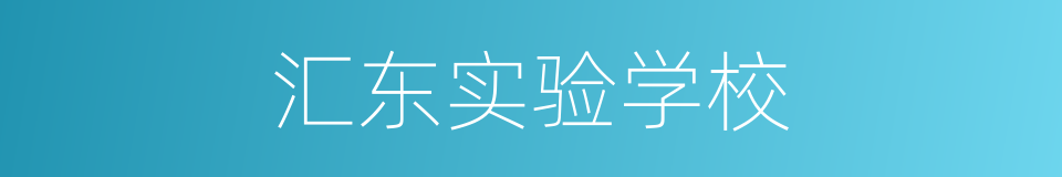 汇东实验学校的同义词