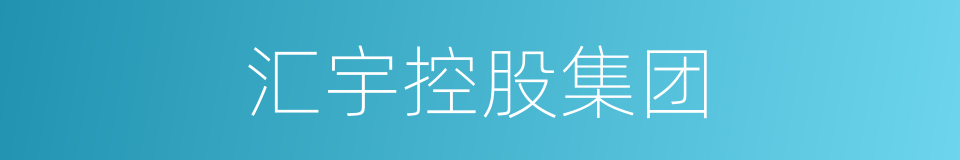 汇宇控股集团的同义词
