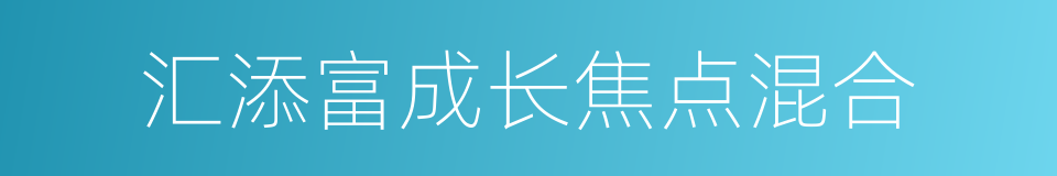汇添富成长焦点混合的同义词