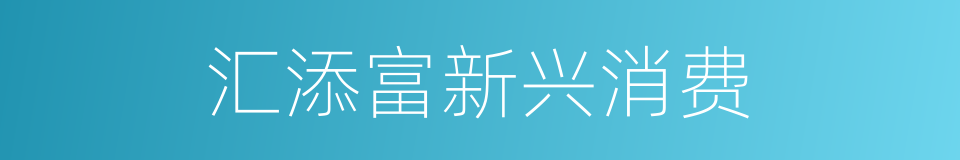 汇添富新兴消费的同义词
