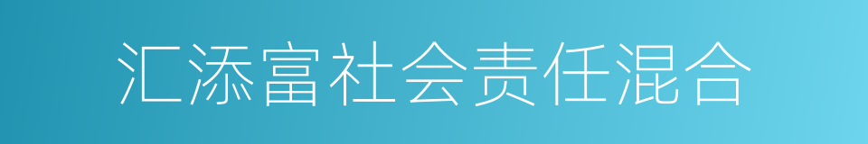 汇添富社会责任混合的同义词