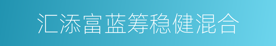 汇添富蓝筹稳健混合的同义词