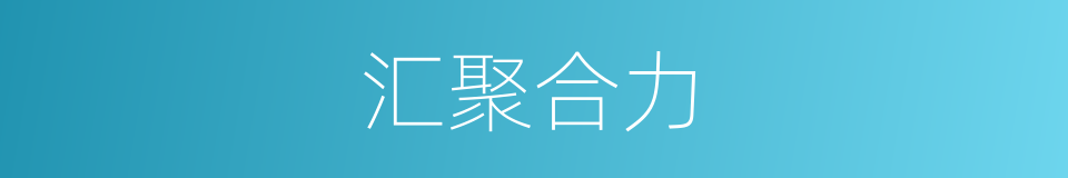 汇聚合力的同义词