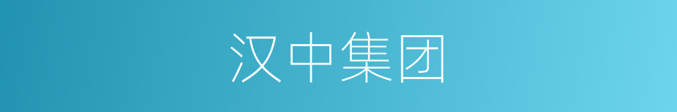 汉中集团的同义词