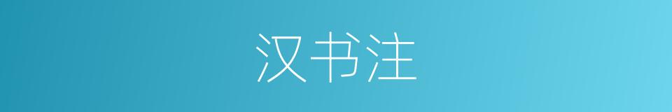 汉书注的同义词