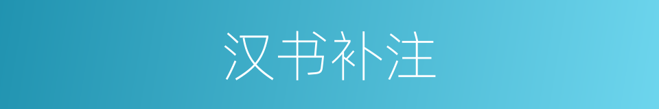 汉书补注的同义词