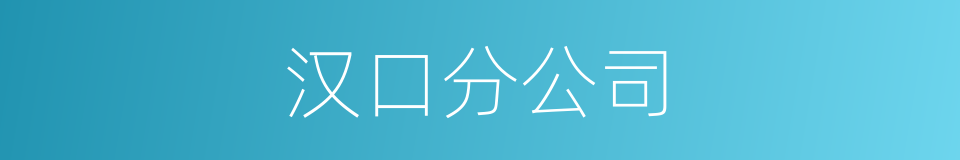 汉口分公司的同义词