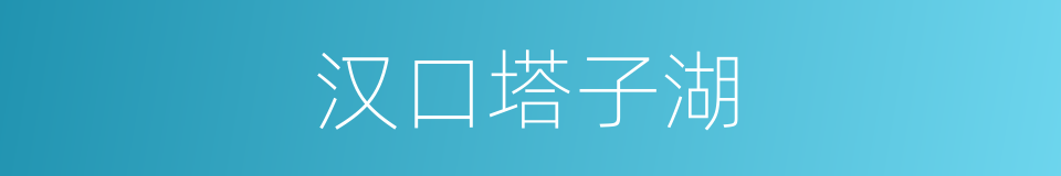 汉口塔子湖的同义词