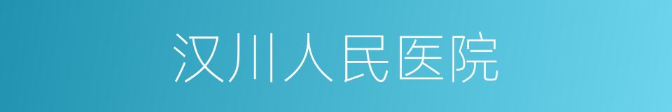 汉川人民医院的同义词