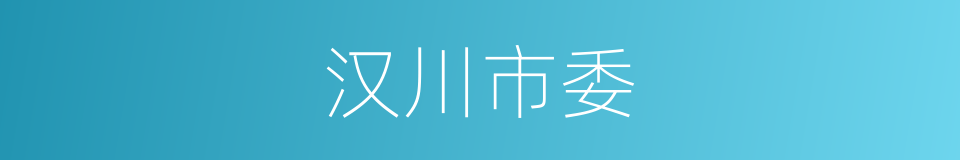 汉川市委的同义词