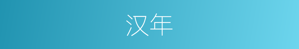 汉年的同义词