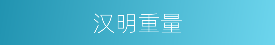汉明重量的同义词