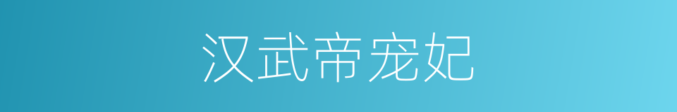 汉武帝宠妃的同义词