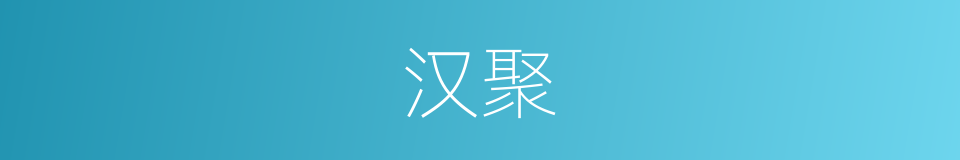 汉聚的同义词