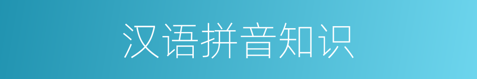 汉语拼音知识的同义词