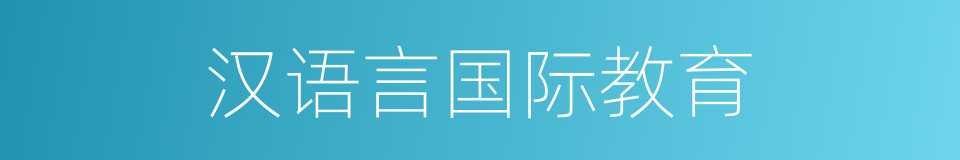 汉语言国际教育的同义词