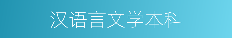 汉语言文学本科的同义词