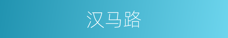 汉马路的同义词