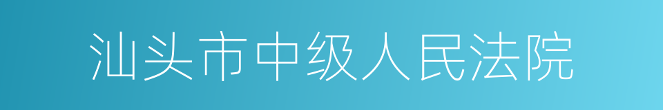 汕头市中级人民法院的同义词