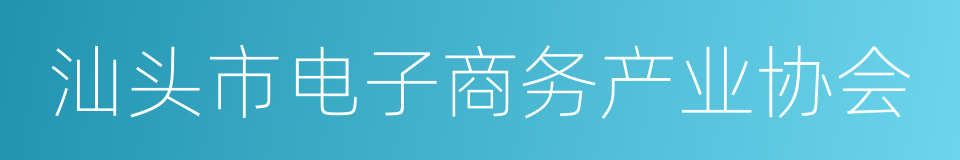 汕头市电子商务产业协会的同义词