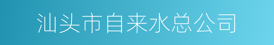 汕头市自来水总公司的同义词