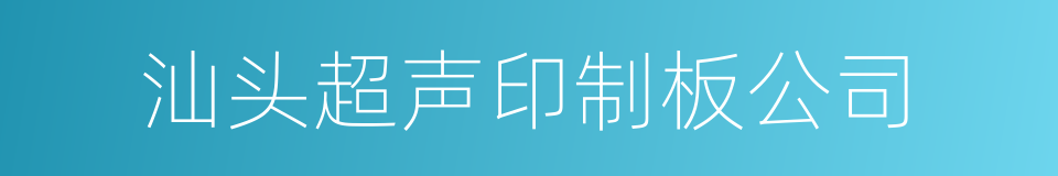 汕头超声印制板公司的同义词