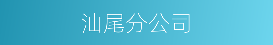 汕尾分公司的同义词