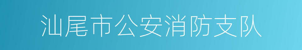 汕尾市公安消防支队的同义词