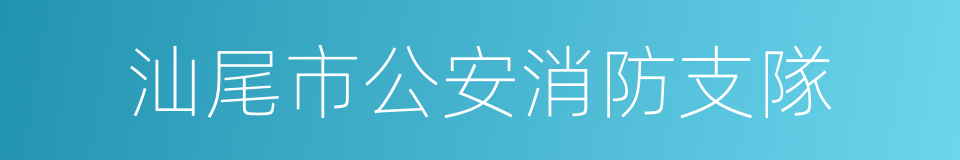 汕尾市公安消防支隊的同義詞