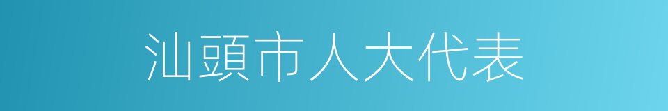 汕頭市人大代表的同義詞