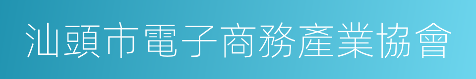 汕頭市電子商務產業協會的同義詞