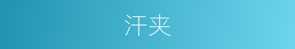 汗夹的同义词