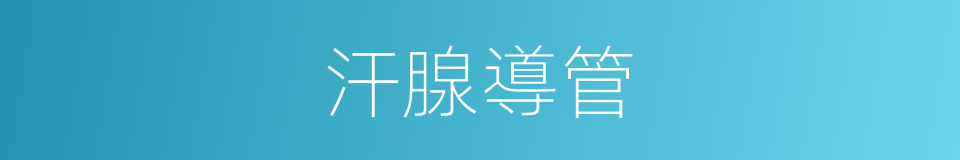 汗腺導管的同義詞