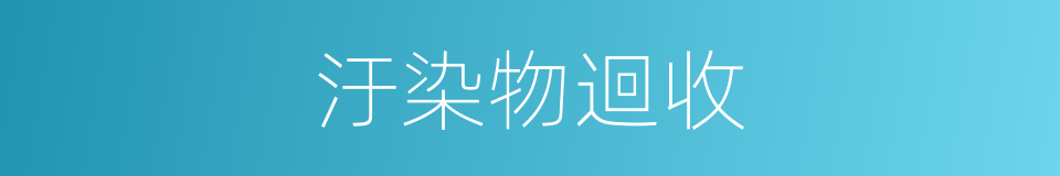 汙染物迴收的同義詞