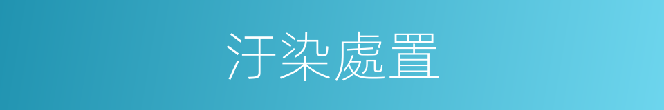 汙染處置的同義詞