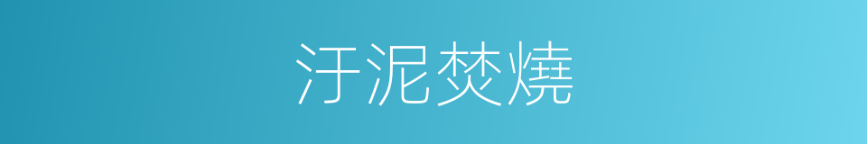 汙泥焚燒的同義詞