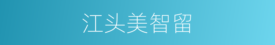 江头美智留的同义词