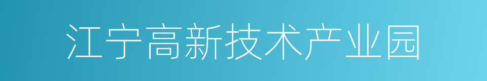 江宁高新技术产业园的同义词