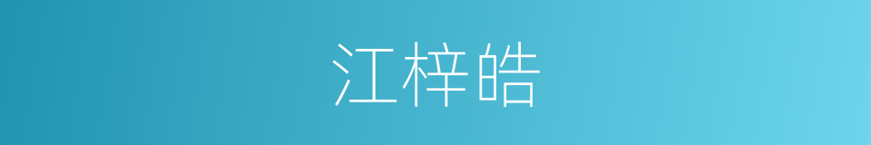 江梓皓的同义词