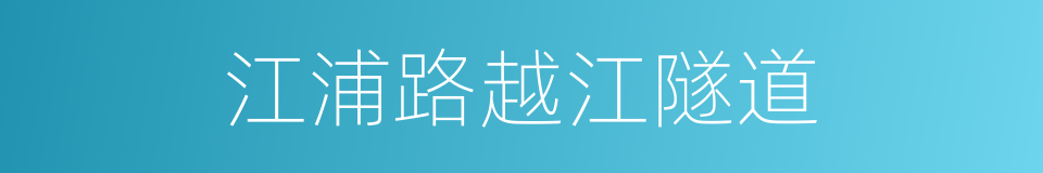 江浦路越江隧道的同义词