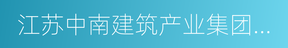 江苏中南建筑产业集团有限责任公司的同义词