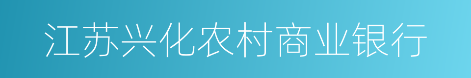江苏兴化农村商业银行的同义词