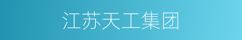 江苏天工集团的同义词