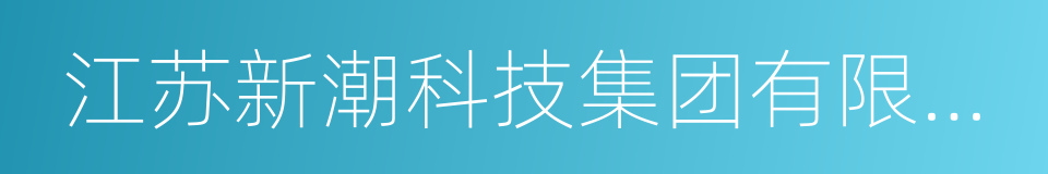 江苏新潮科技集团有限公司的同义词