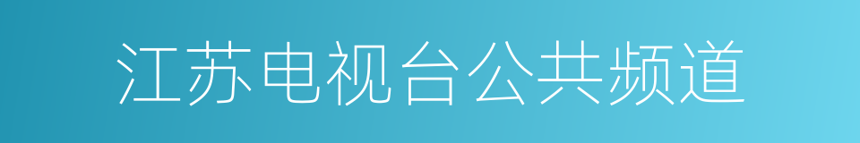 江苏电视台公共频道的同义词