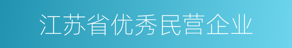 江苏省优秀民营企业的同义词