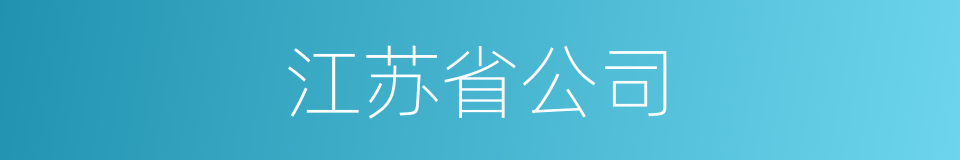 江苏省公司的同义词