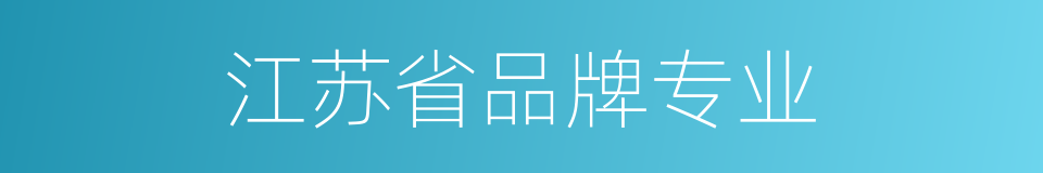江苏省品牌专业的同义词