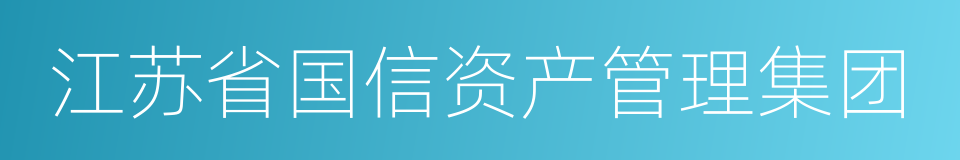 江苏省国信资产管理集团的同义词