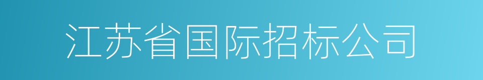 江苏省国际招标公司的同义词